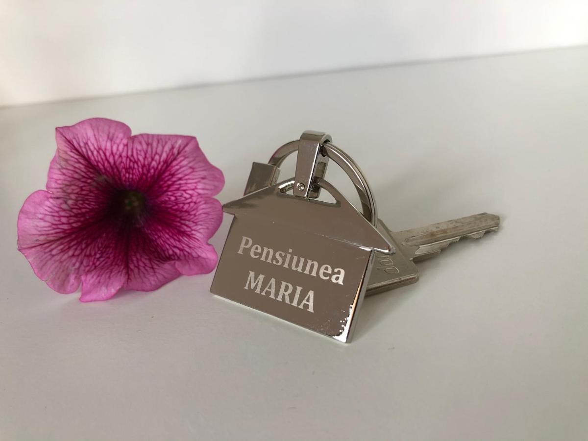 Pensiunea Maria Colibita Bagian luar foto